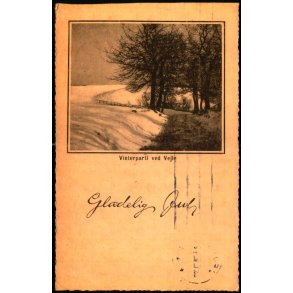 Vinterparti ved Vejle - Papyrus 49404 - Brugt