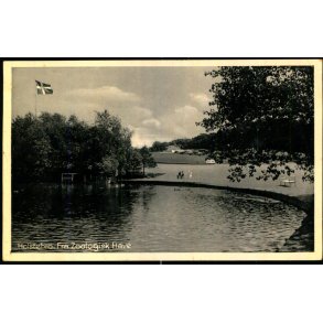 Holstebro - Fra Zoologisk Have - N�rreports Kiosk 98 - Brugt