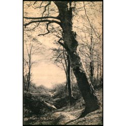 Kl�ft i Riis Skov - Alex Vincent 3141 - Brugt