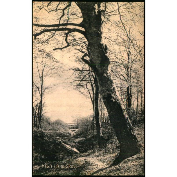 Kl�ft i Riis Skov - Alex Vincent 3141 - Brugt