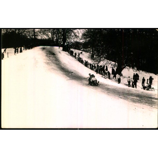 Kbenhavn - Vintersport i Frederiksberg Have - Fotokort u/n - Ubrugt