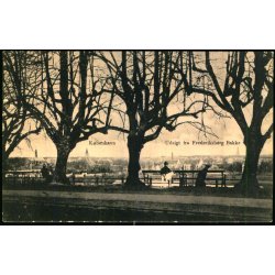 Kbenhavn - Udsigt fra Frederiksberg Bakke - Sk.B. &amp; Kf. 2829  - Ubrugt