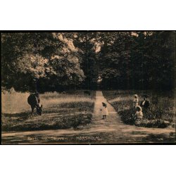Parti fra Skoven - H�rsholm - Pragh 25612 - Ubrugt