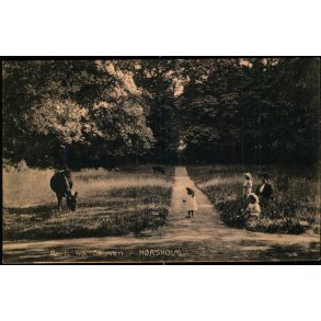 Parti fra Skoven - H�rsholm - Pragh 25612 - Ubrugt