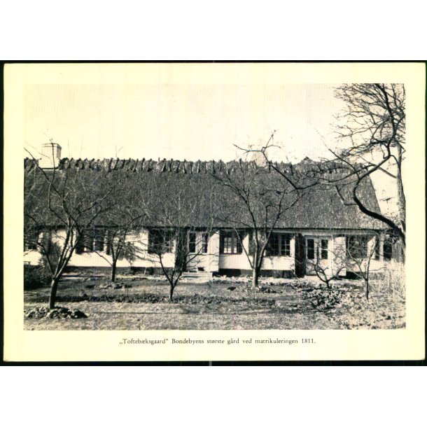 Tofteb�kgaard - Bondebyens st�rste Gaard - Historisk Topografisk Selskab u/n - Ubrugt