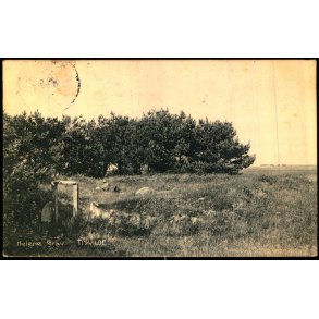 Helene Grav - Tisvilde - A. Jensens Bogh. 23698 - Brugt