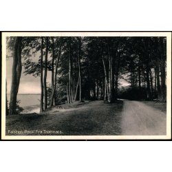 Falster - Parti fra Tromn�s - Stender N.F. 217 - Ubrugt