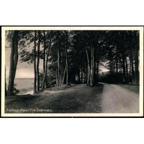 Falster - Parti fra Tromn�s - Stender N.F. 217 - Ubrugt