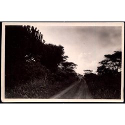 Congo Belge - Route automobile Costermanville Uvira - Plaine de Kamaniola - Fotokort 4 - 1 - Ubrugt