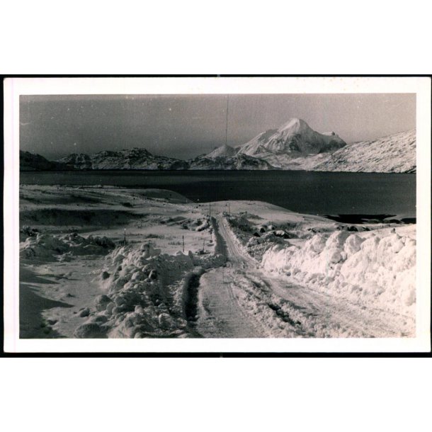 Grnland - Kungnat Fjeld - Fotokort u/n - Ubrugt