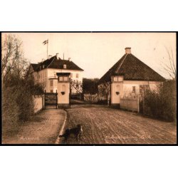 Aarhus - Marselisborg Slot - Stender 18075 - Ubrugt