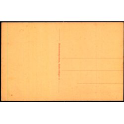 Fra Udsigtstaarnet paa Koldinghus - Museumsstyrelsen 12 - Ubrugt