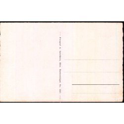 Ribe - Domkirkes Indre - A. Lauridsen 6317 - Ubrugt