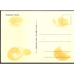 Sneglehuset - Thybor�n - Stjerne Foto  40066 - Ubrugt - Limrest !