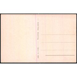 Tisvilde Hegn - Fra Brantebjerg - Rudolf Olsen 10500 - Ubrugt