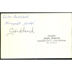 Grnland - Kungnat Fjeld - Fotokort u/n - Ubrugt