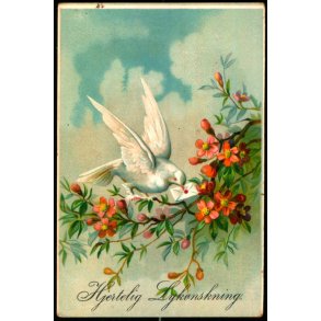 Kartonkort - Hjertelig Lyknskning