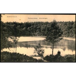 Bornholm - Pykkekullekr i Almindingen - F. Srensens Bogh. 4966 - Brugt