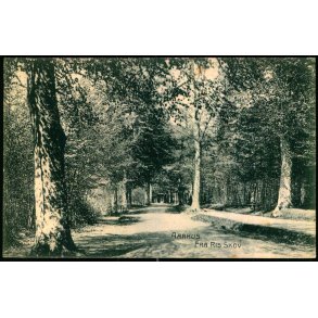 Aarhus - Fra Riis Skov - J.J.N., 1977 - Brugt