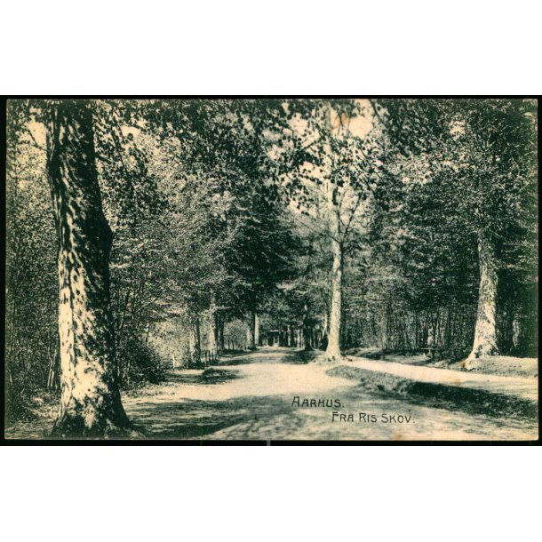 Aarhus - Fra Riis Skov - J.J.N., 1977 - Brugt