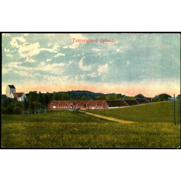 Taarupgaard (Jylland) - Alex Vincent 61 - Ubrugt