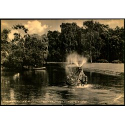 Odense - Havhesten i Munkemose - Stender  O. 1016 k - Ubrugt