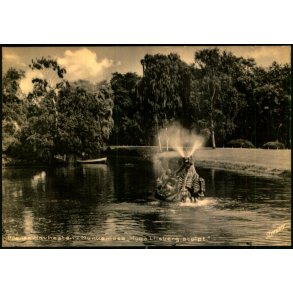 Odense - Havhesten i Munkemose - Stender  O. 1016 k - Ubrugt