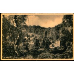 Paradisdalen - Tisvilde Hegn - Rudolf Olsen 351 - Brugt