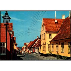 Vestergade med Posthuset Aar 1749 - �r�sk�bing - Creutzs Bogh. 143523039  - Brugt