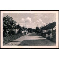Taasinge - Grnnegade i Troense - Stender S.  295 - Ubrugt