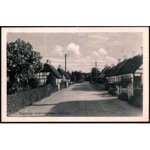 Taasinge - Grnnegade i Troense - Stender S.  295 - Ubrugt