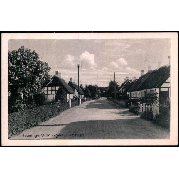 Taasinge - Grnnegade i Troense - Stender S.  295 - Ubrugt