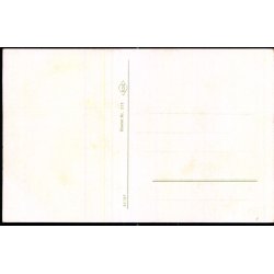 Kbenhavn - Parti fra Tivoli - ROK 225