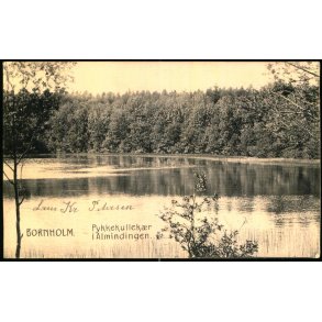 Bornholm - Pykkekullekr i Almindingen - Colbergs Bogh. 1 - Brugt