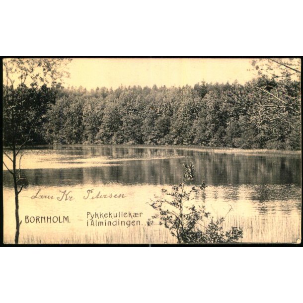 Bornholm - Pykkekullekr i Almindingen - Colbergs Bogh. 1 - Brugt