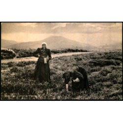 Fra den jyske Hede - Stender 94018 K - Brugt