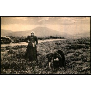 Fra den jyske Hede - Stender 94018 K - Brugt