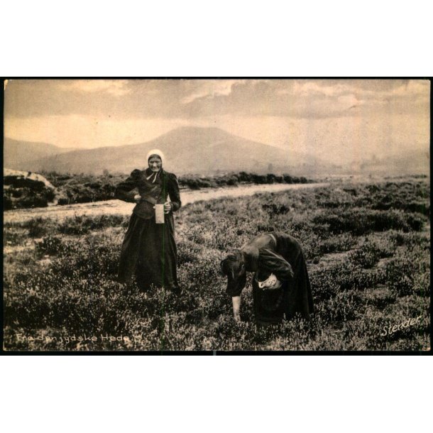 Fra den jyske Hede - Stender 94018 K - Brugt