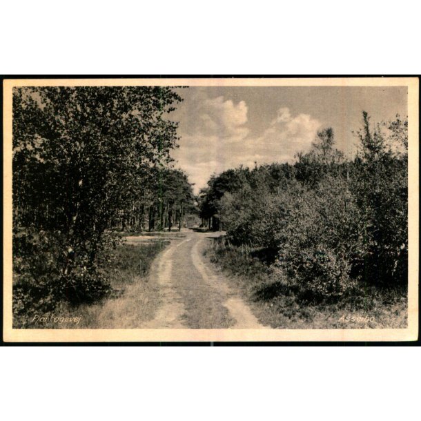 Plantagevej - Asserbo - E. Ramlaus Bogh. 78368 - Ubrugt