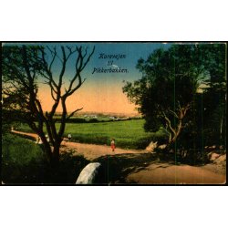 K�revejen til Pikkerbakken - u/n - Brugt