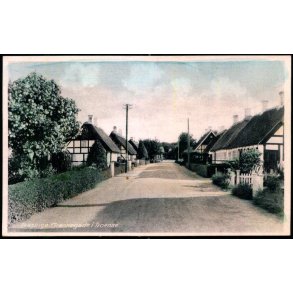 Taasinge - Grnnegade i Troense - Stender S.  295 - Ubrugt