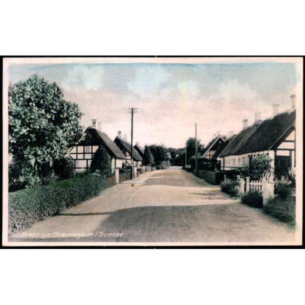 Taasinge - Grnnegade i Troense - Stender S.  295 - Ubrugt