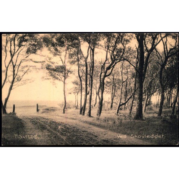 Tisvilde - Ved Skovleddet - Albert Jensens Bogh. 7067 - Ubrugt