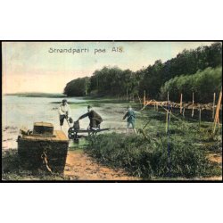 Strandparti paa Als - Stender 9860 - Brugt