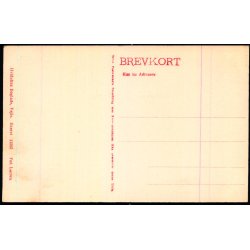 Runestenene i Jelling - Hvidehus Bogh. 11502 - Ubrugt