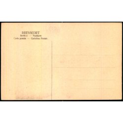 Bornholm - Danmarkstoget - Brnehjlpsdagen 1906 - u/n - Ubrugt