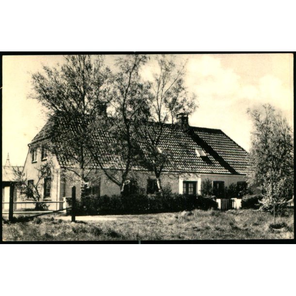 Lyngby Taarbk Kolonien "Klitgaarden" -  Nykbing Sj. - Lyngby Taarbk Kommunelrerforening 15176