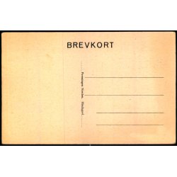 Hindsgavl Slot fra Parken - Foreningen Norden u/n - Ubrugt