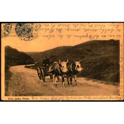 SNDER - DRAABY p Postkort