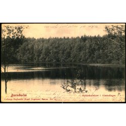 Bornholm - Pykkekullekr i Almindingen - Colbergs Bogh. 24 - Brugt